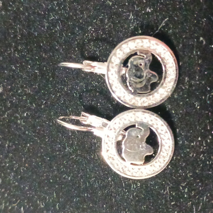 Earrings 12$